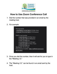 zoom conference call no video